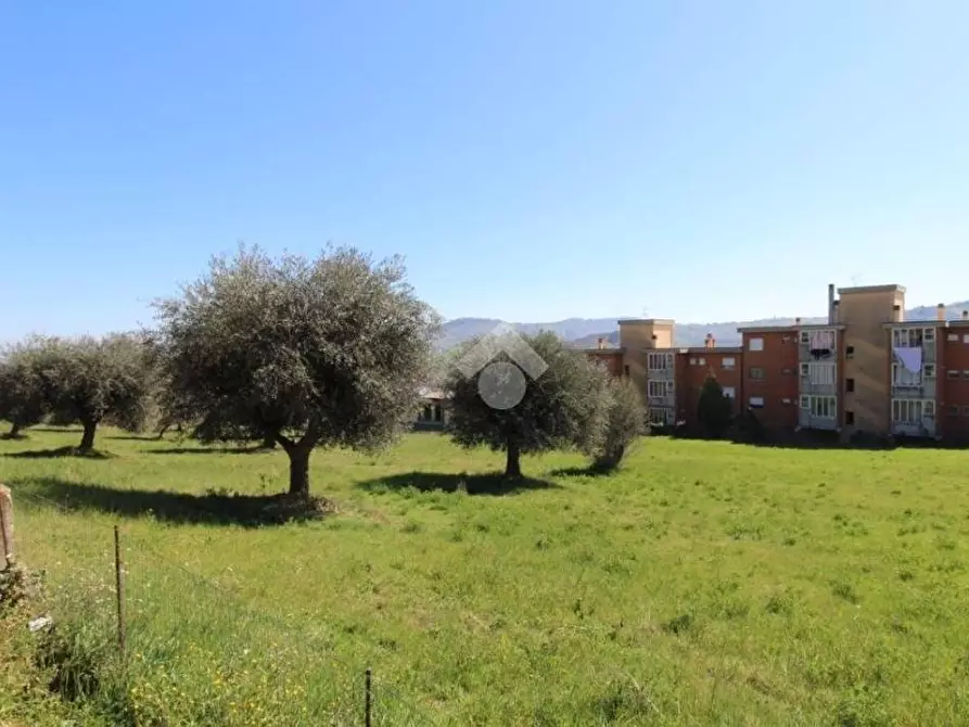 Immagine 4 di Terreno residenziale in vendita  in Via Ferdinando Ranalli a Teramo