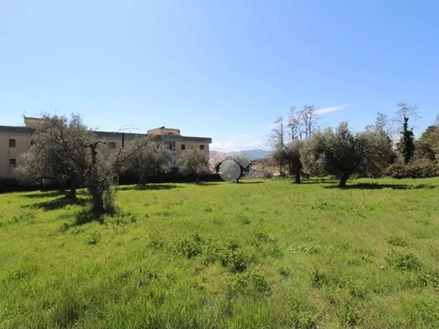 Immagine 6 di Terreno residenziale in vendita  in Via Ferdinando Ranalli a Teramo