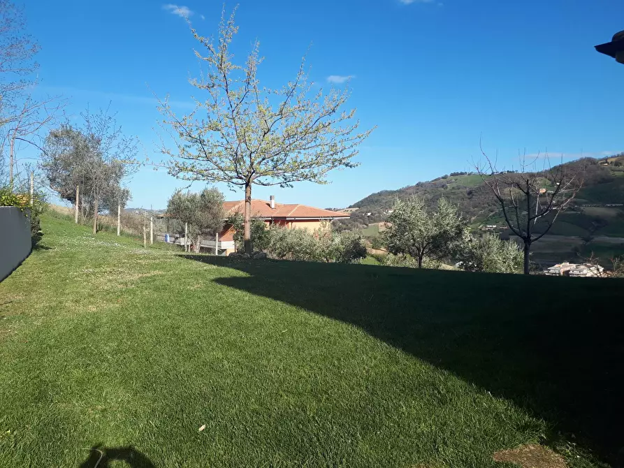 Immagine 32 di Villa in vendita  in Via A. Bafile a Ancarano