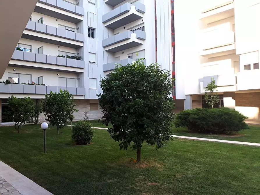 Immagine 3 di Appartamento in vendita  in Via R. Paolucci a Teramo