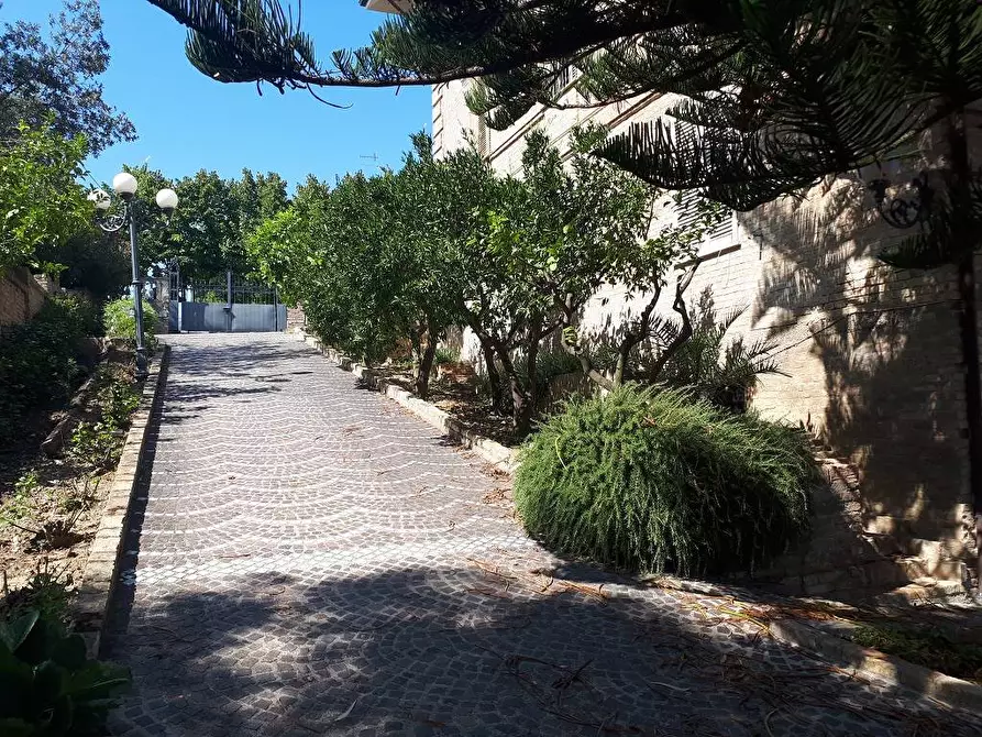 Immagine 72 di Casa semindipendente in vendita  in Viale dello Splendore a Giulianova