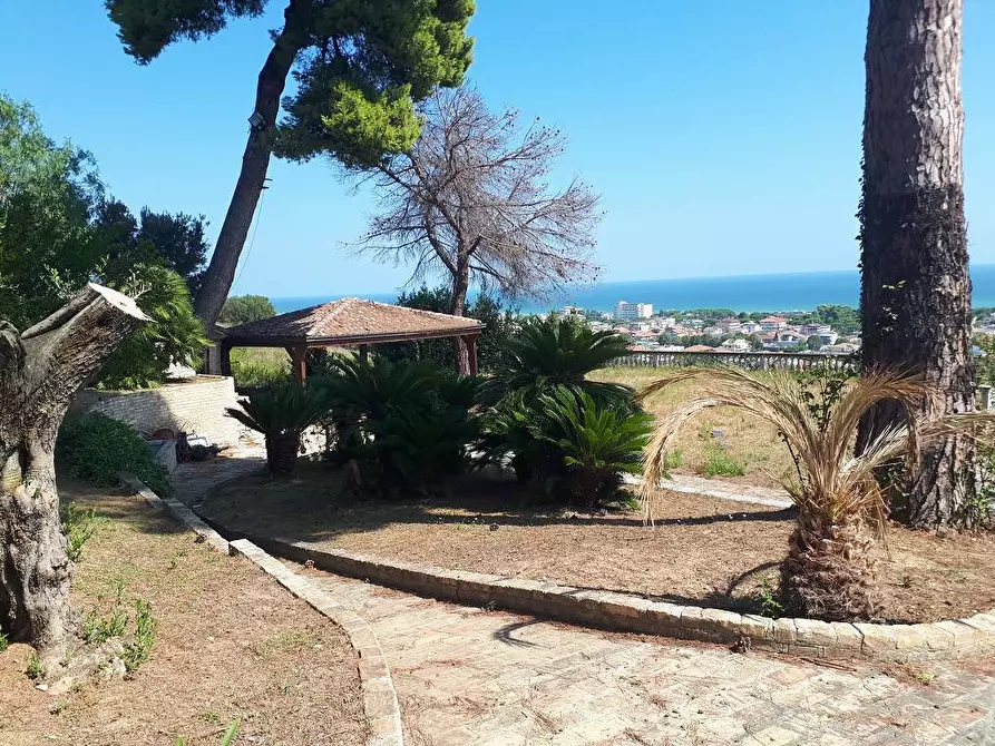 Immagine 75 di Casa semindipendente in vendita  in Viale dello Splendore a Giulianova