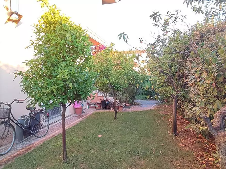 Immagine 25 di Villa in vendita  a Giulianova