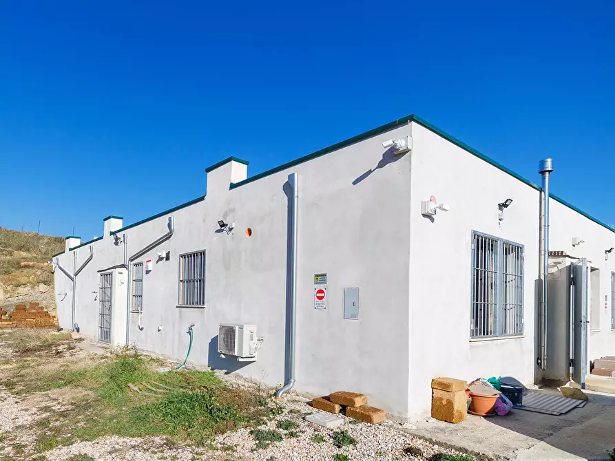 Immagine 1 di Casa indipendente in vendita  in San Felice a Torricella Sicura