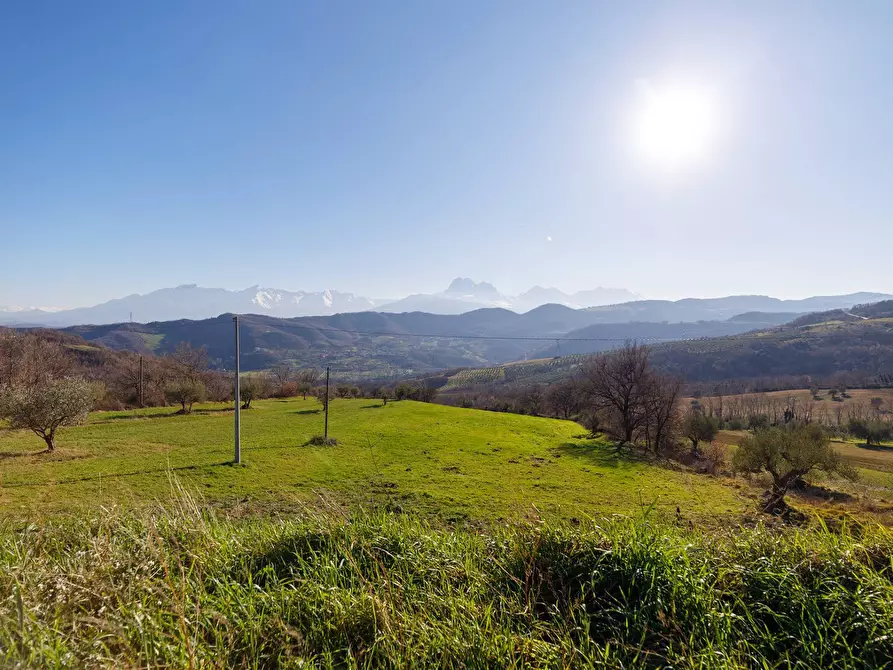 Immagine 15 di Casa indipendente in vendita  in San Felice a Torricella Sicura