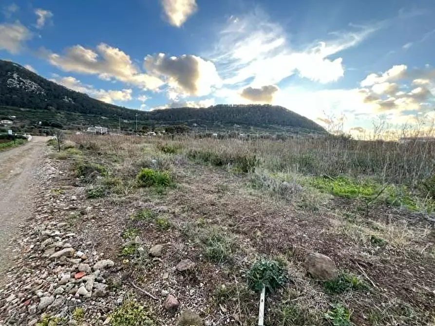 Immagine 8 di Terreno residenziale in vendita  a Ustica
