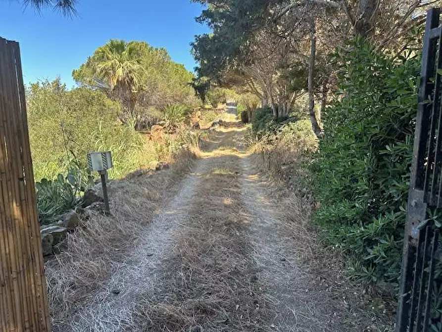 Immagine 5 di Villa in vendita  in CONTRADA OGLIASTRELLO snc a Ustica