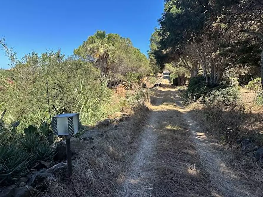 Immagine 6 di Villa in vendita  in CONTRADA OGLIASTRELLO snc a Ustica