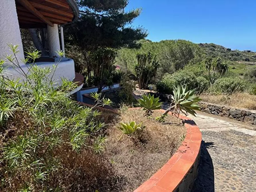 Immagine 7 di Villa in vendita  in CONTRADA OGLIASTRELLO snc a Ustica