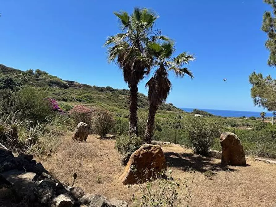 Immagine 11 di Villa in vendita  in CONTRADA OGLIASTRELLO snc a Ustica
