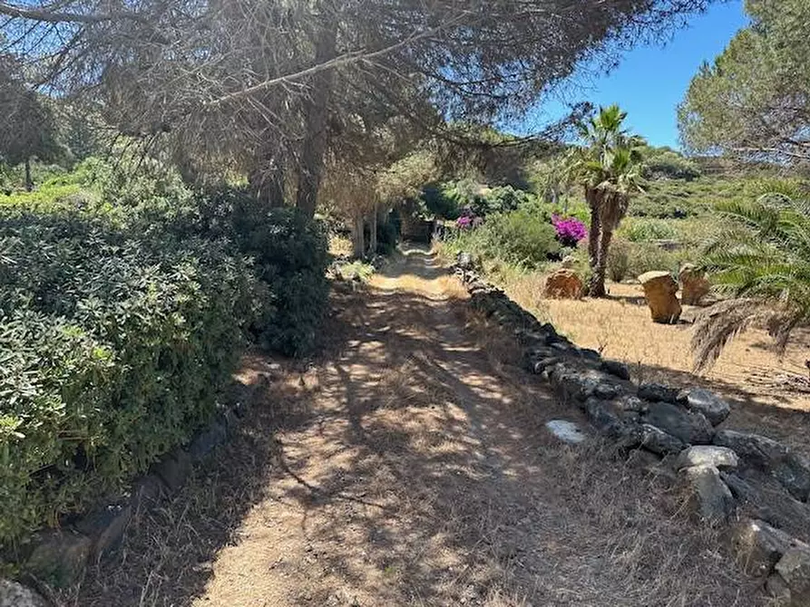 Immagine 12 di Villa in vendita  in CONTRADA OGLIASTRELLO snc a Ustica