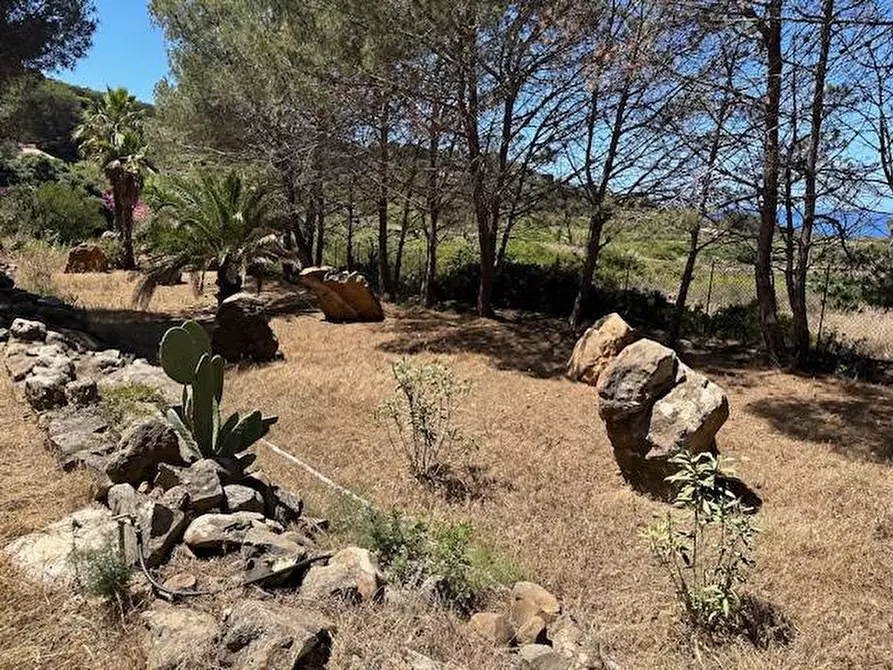 Immagine 13 di Villa in vendita  in CONTRADA OGLIASTRELLO snc a Ustica