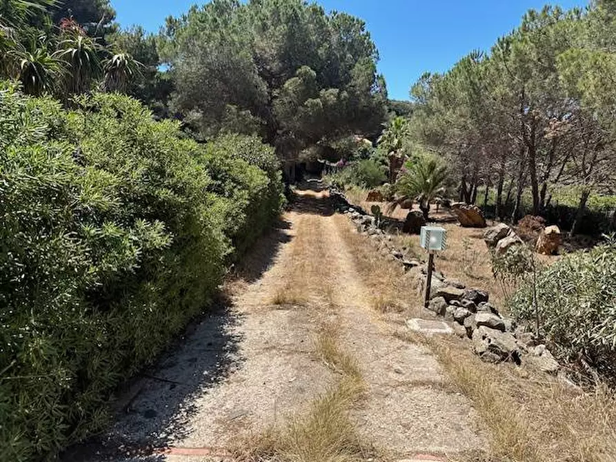 Immagine 14 di Villa in vendita  in CONTRADA OGLIASTRELLO snc a Ustica