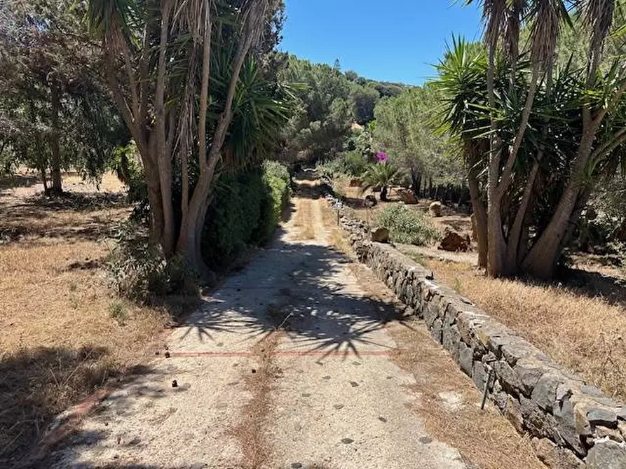 Immagine 15 di Villa in vendita  in CONTRADA OGLIASTRELLO snc a Ustica