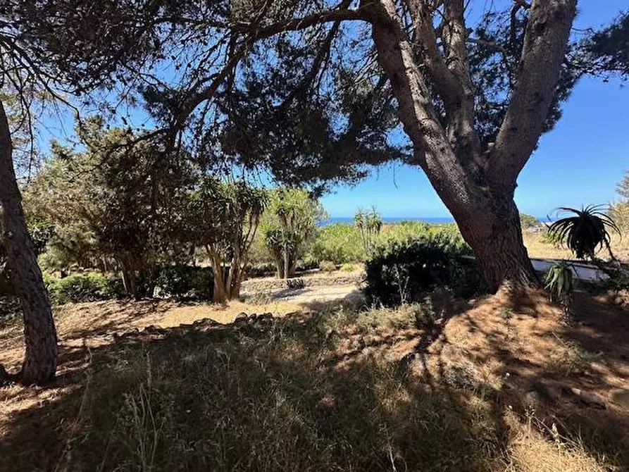 Immagine 16 di Villa in vendita  in CONTRADA OGLIASTRELLO snc a Ustica