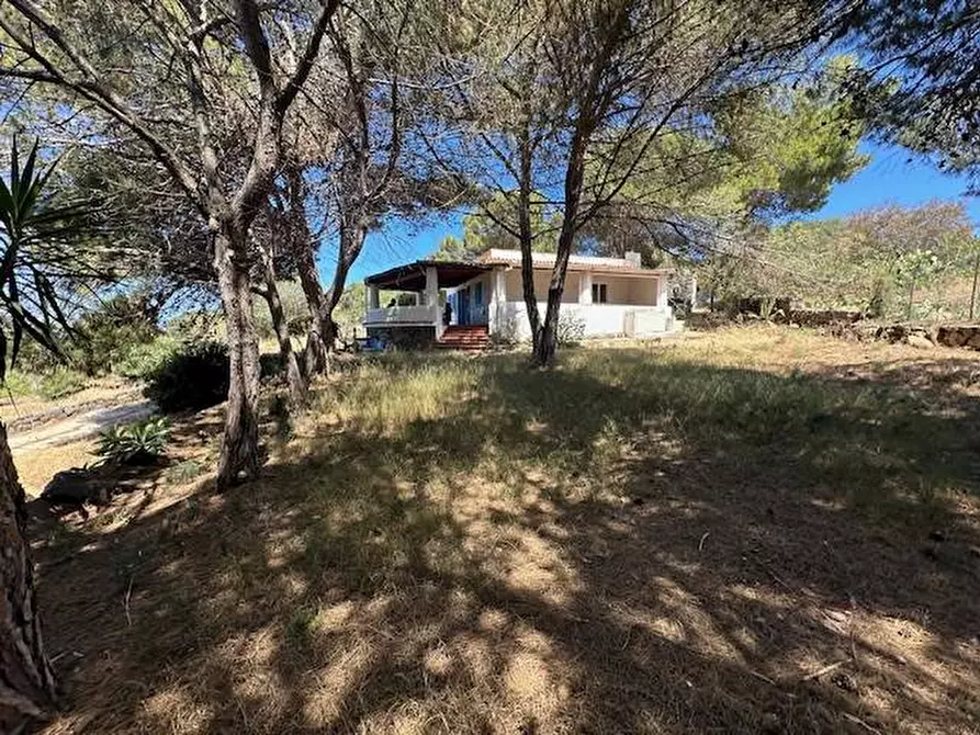 Immagine 18 di Villa in vendita  in CONTRADA OGLIASTRELLO snc a Ustica