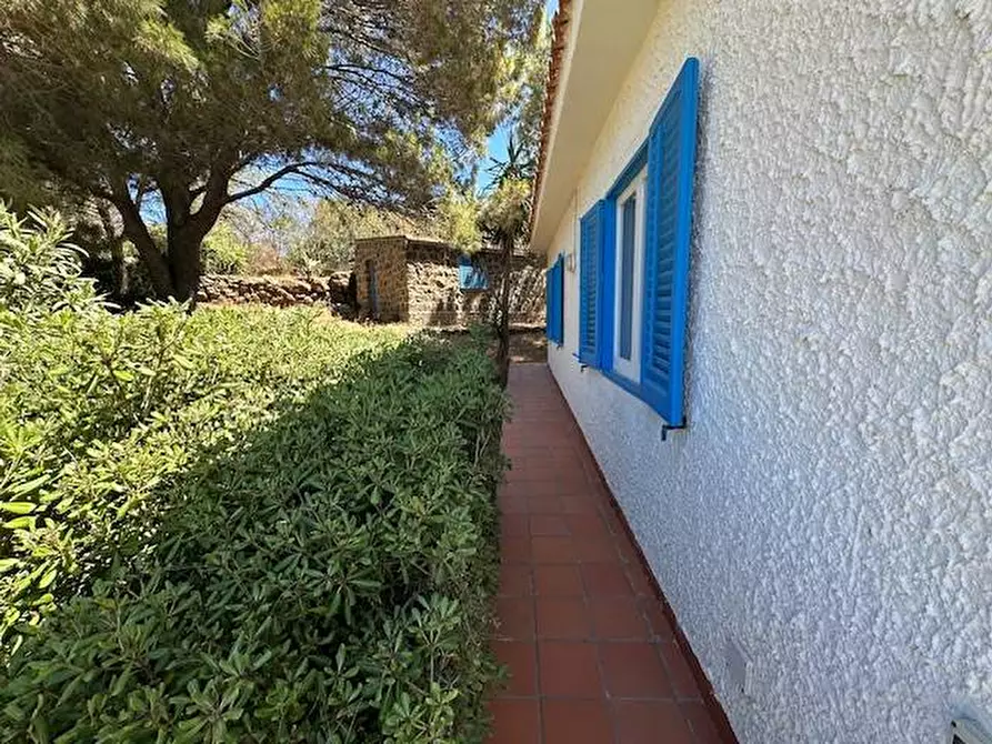 Immagine 28 di Villa in vendita  in CONTRADA OGLIASTRELLO snc a Ustica