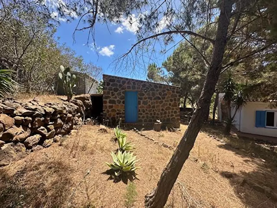 Immagine 61 di Villa in vendita  in CONTRADA OGLIASTRELLO snc a Ustica