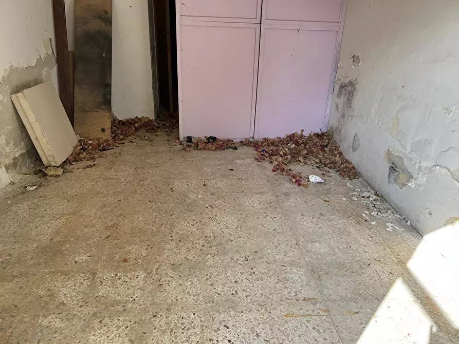 Immagine 44 di Villetta a schiera in affitto  in Via Lucrezio 48 a Palermo