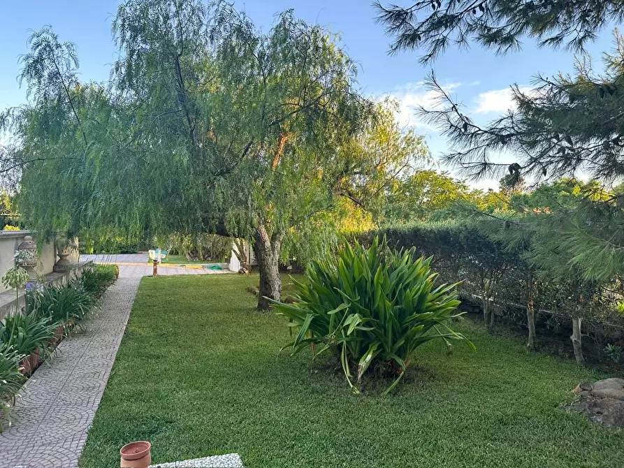 Immagine 3 di Villa in vendita  in CONTRADA OLIASTRELLO snc a Ustica