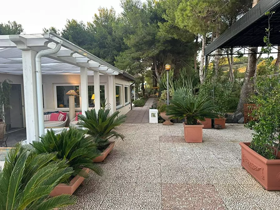 Immagine 6 di Villa in vendita  in CONTRADA OLIASTRELLO snc a Ustica