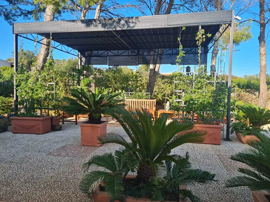 Immagine 7 di Villa in vendita  in CONTRADA OLIASTRELLO snc a Ustica