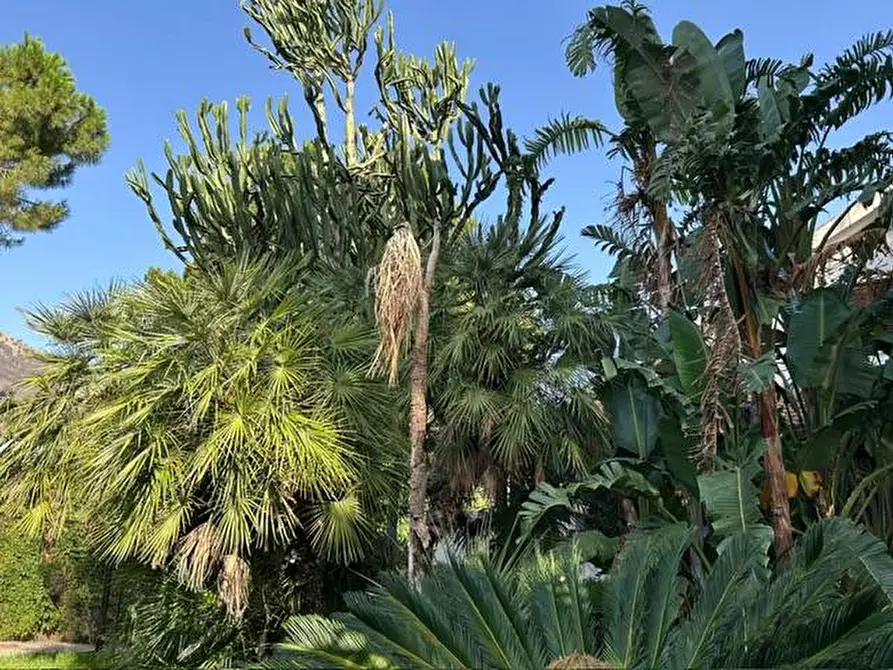 Immagine 5 di Villa in vendita  in Via Salvatore Quasimodo 5 a Palermo