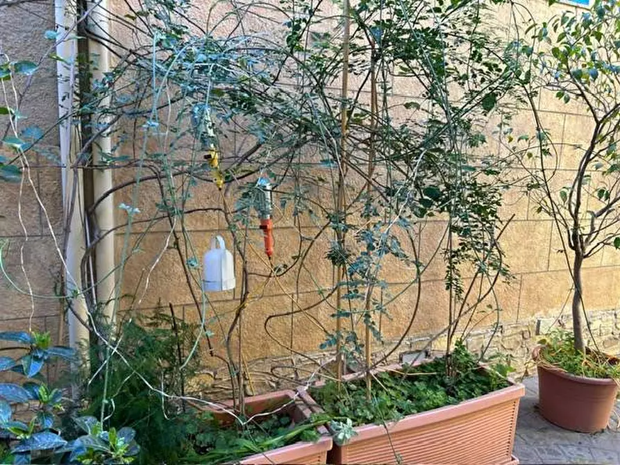 Immagine 5 di Appartamento in affitto  in Via Della Liberta' 64 a Palermo