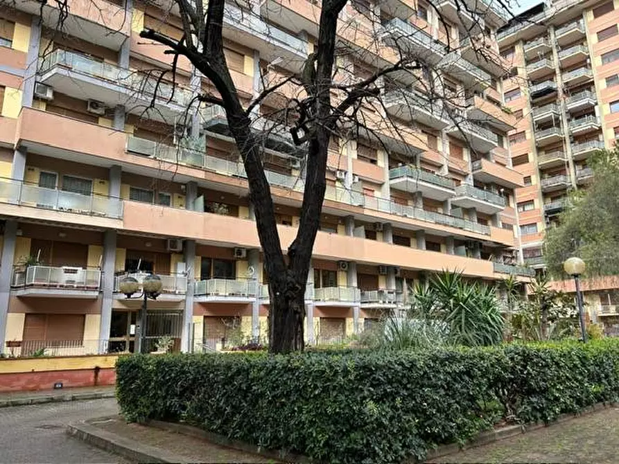 Immagine 4 di Appartamento in vendita  in Via Tramontana 28 a Palermo