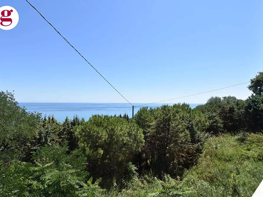 Immagine 11 di Attività commerciale in vendita  in Strada Statale 16 Nord 53 a Vasto