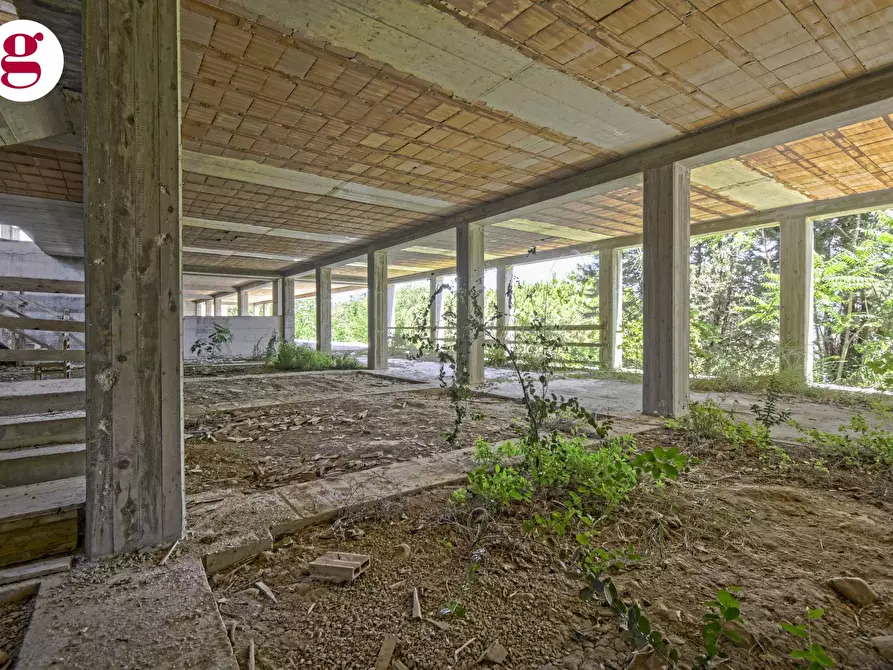 Immagine 13 di Attività commerciale in vendita  in Strada Statale 16 Nord 53 a Vasto