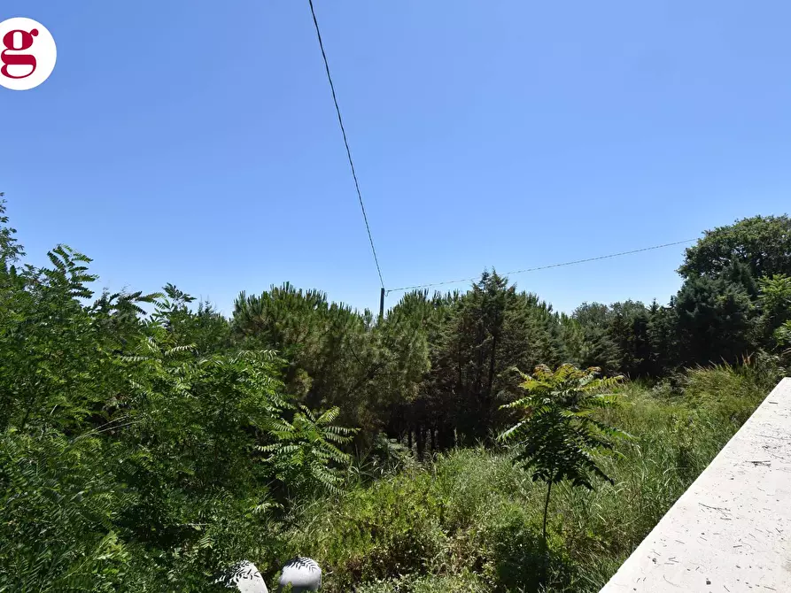 Immagine 16 di Attività commerciale in vendita  in Strada Statale 16 Nord 53 a Vasto