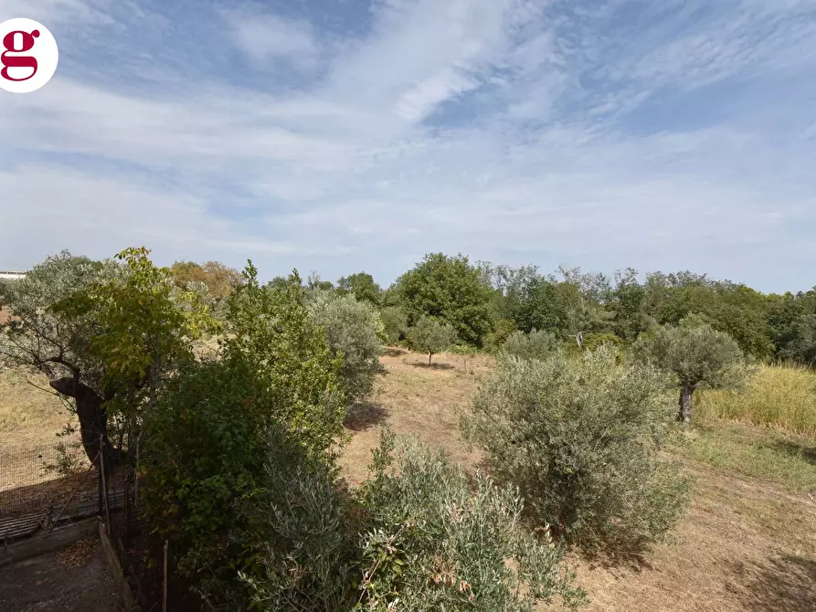 Immagine 23 di Casa indipendente in vendita  in Via Sant'onofrio 19 a Vasto