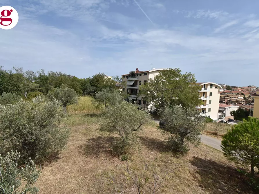 Immagine 24 di Casa indipendente in vendita  in Via Sant'onofrio 19 a Vasto