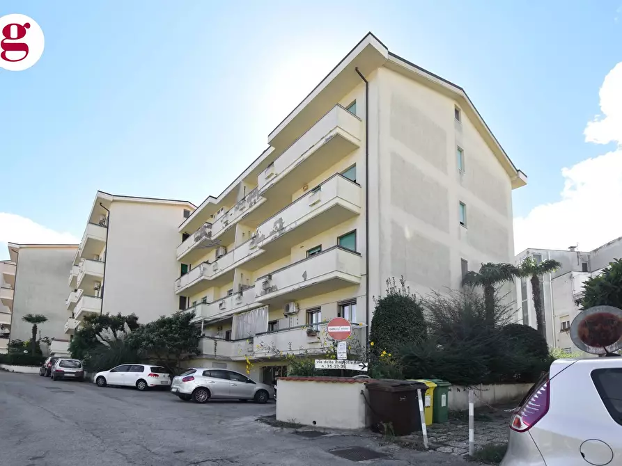 Immagine 28 di Appartamento in vendita  in Via delle Magnolie 39 a Vasto