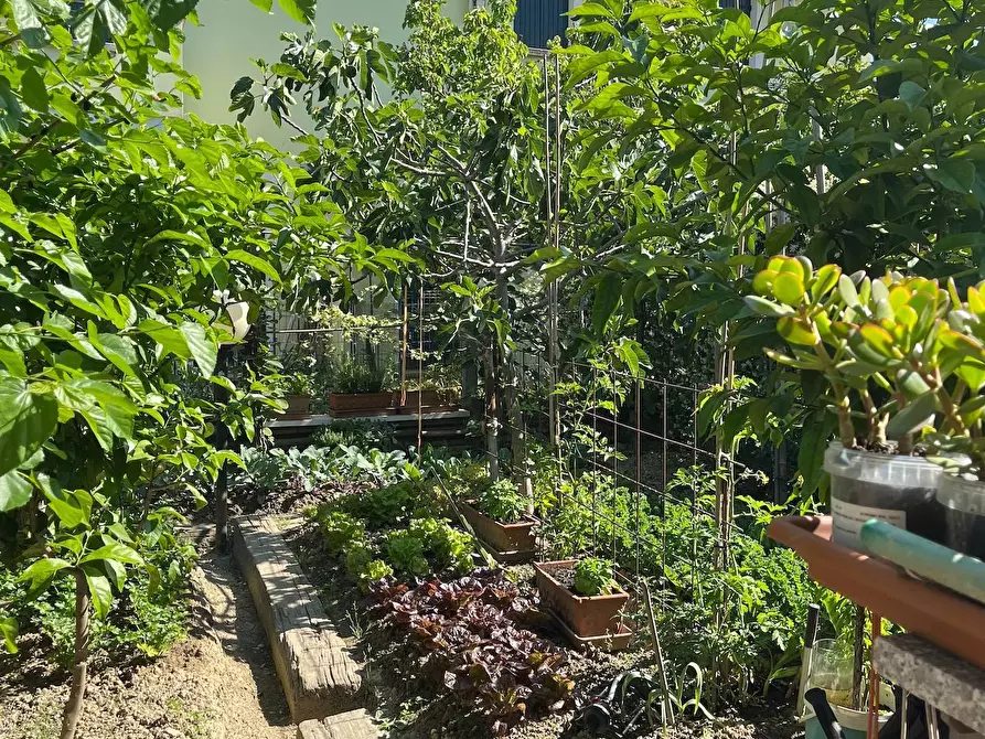 Immagine 5 di Casa semindipendente in vendita  in via concordia a Quarto D'altino