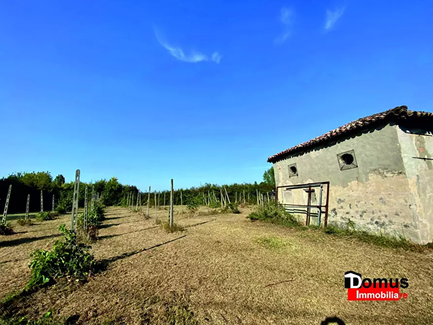 Immagine 3 di Magazzino in vendita  a Copparo