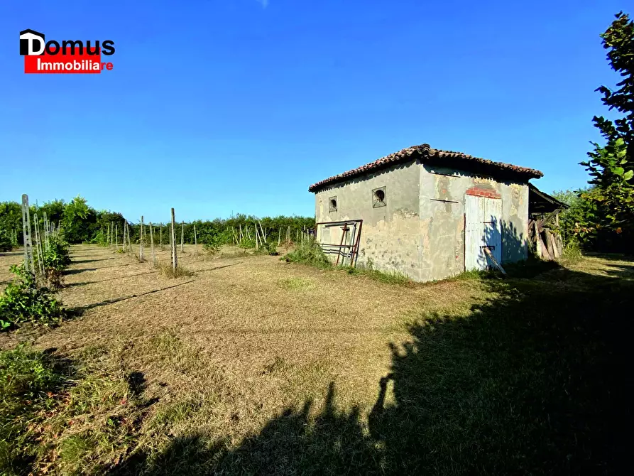 Immagine 4 di Magazzino in vendita  a Copparo