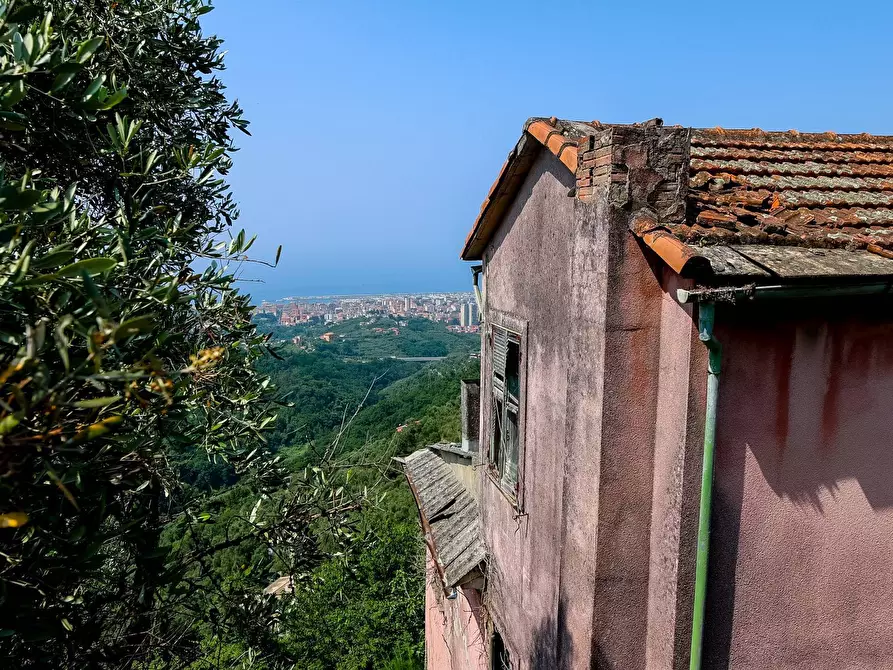 Immagine 7 di Villa in vendita  in VIA CAV. FELICE COGORNO 295 a Avegno