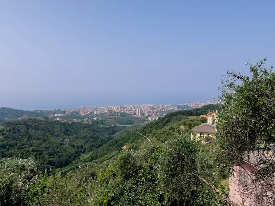 Immagine 11 di Villa in vendita  in VIA CAV. FELICE COGORNO 295 a Avegno