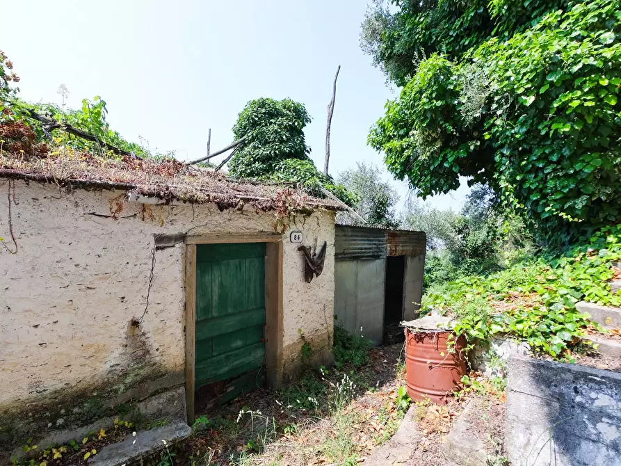 Immagine 32 di Casa semindipendente in vendita  in VIA CAV. FELICE COGORNO 90-84 a Avegno