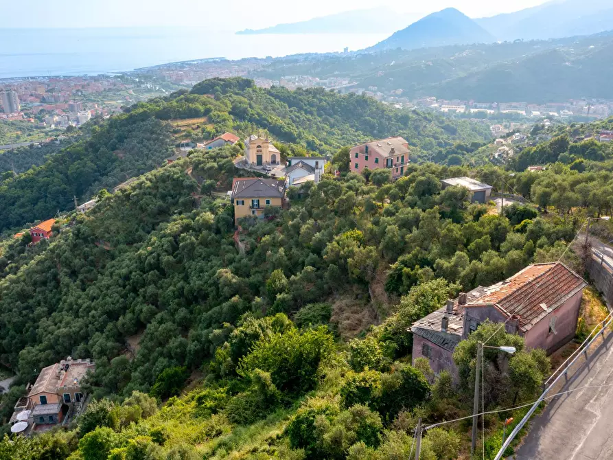 Immagine 31 di Villa in vendita  in VIA CAV. FELICE COGORNO 295 a Avegno