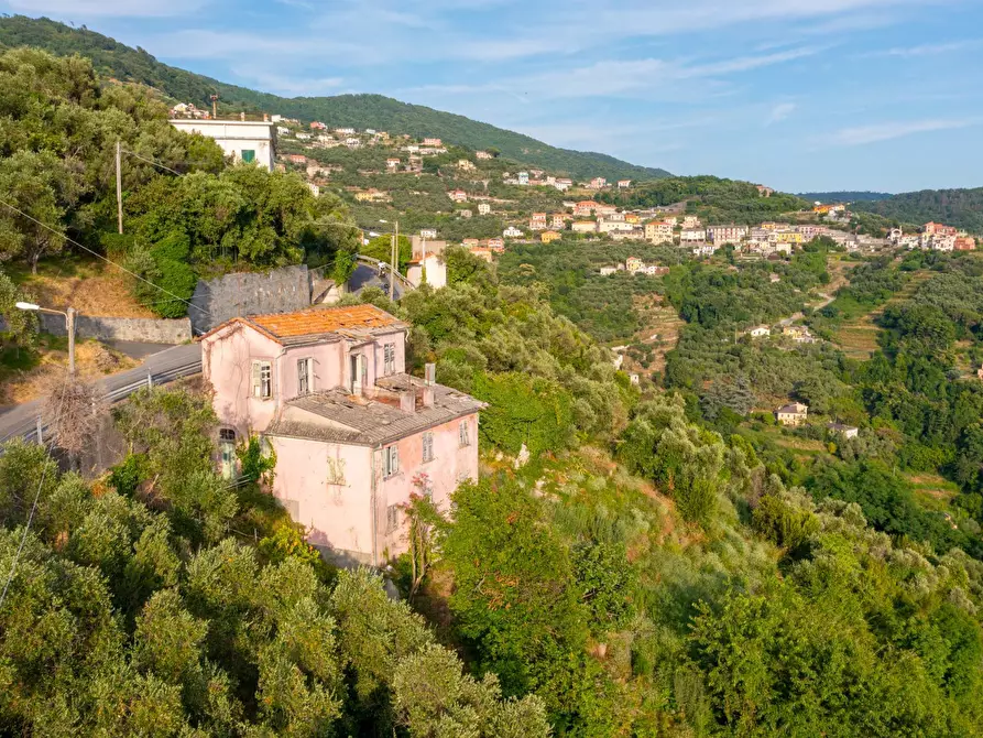 Immagine 1 di Villa in vendita  in VIA CAV. FELICE COGORNO 295 a Avegno