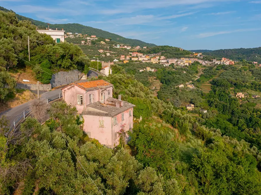 Immagine 35 di Villa in vendita  in VIA CAV. FELICE COGORNO 295 a Avegno