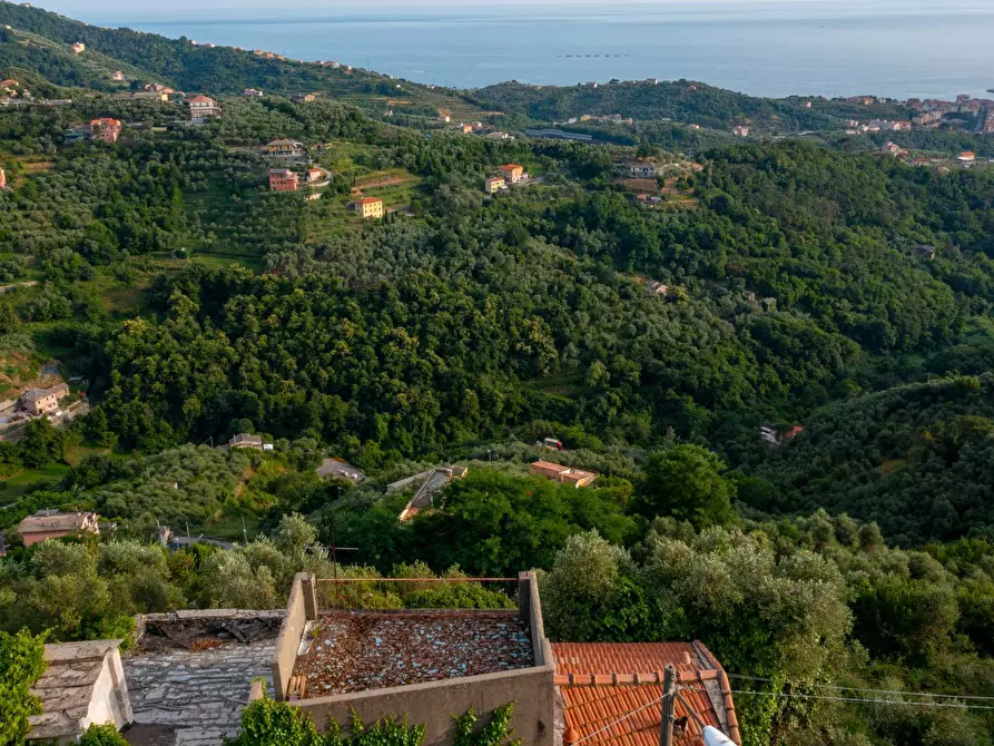 Immagine 40 di Villa in vendita  in VIA CAV. FELICE COGORNO 295 a Avegno