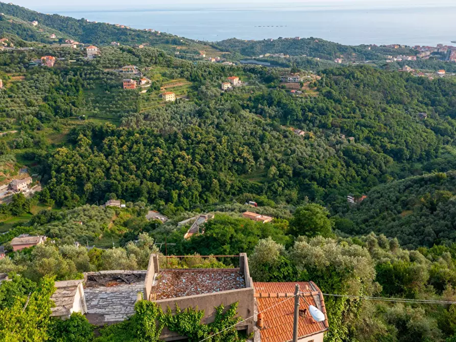 Immagine 41 di Villa in vendita  in VIA CAV. FELICE COGORNO 295 a Avegno