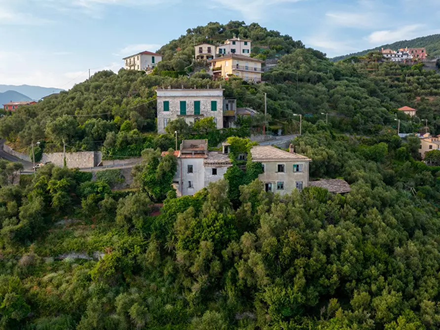 Immagine 37 di Casa semindipendente in vendita  in VIA CAV. FELICE COGORNO 90-84 a Avegno