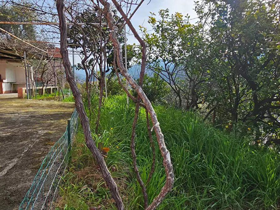 Immagine 19 di Casa semindipendente in vendita  in VIA 1 MAGGIO a Avegno