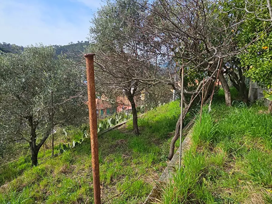 Immagine 20 di Casa semindipendente in vendita  in VIA 1 MAGGIO a Avegno