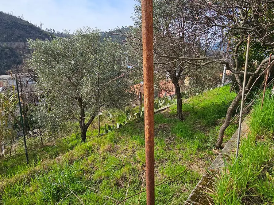 Immagine 21 di Casa semindipendente in vendita  in VIA 1 MAGGIO a Avegno